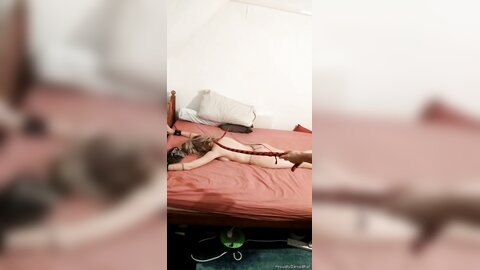 Onlyfans Proudlyownedslave  Proudlyownedpet 04 11 2021