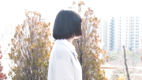 albums