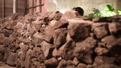 GGotBBang (꽃빵) VVIP Gallery - Calvin Klein (9)