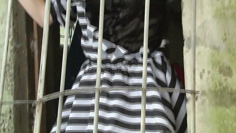 [Young Animal Arashi] 2016 No.09 (おのののか) (5)