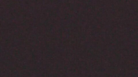 P23955JgMops1117