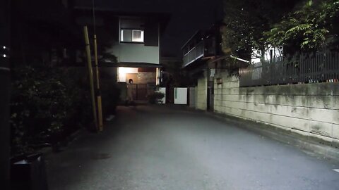 15331669