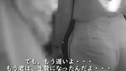 Ir029 2