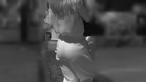 Ir029 2