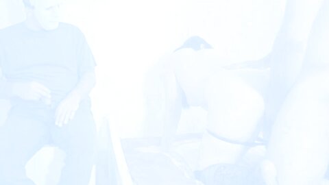 Iranian Cuckold کاک اولد ایرانی