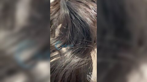 22024 0369