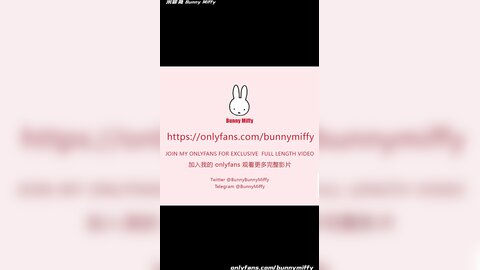Of Bunny Miffy（米菲兔） 19