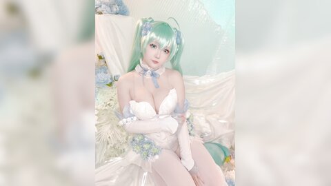 星之迟迟 - 2024年02月计划A 初音未来 粉蝶花精灵54P1V-4.51GB