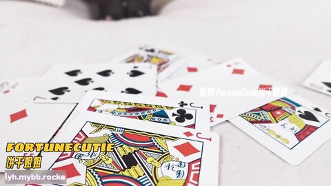 Fortunecuttie学姐的夏日小游戏1