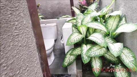 Korean sexy slut Song Lee