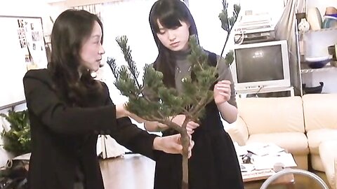 UP to boy Vol.179 DVD 7th EDITION 2007.02.23