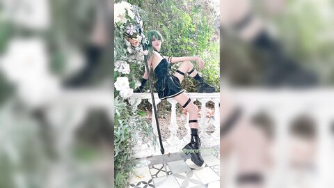 Video (4)