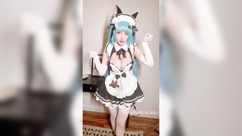 Video (11)
