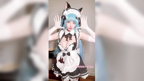 Video (11)