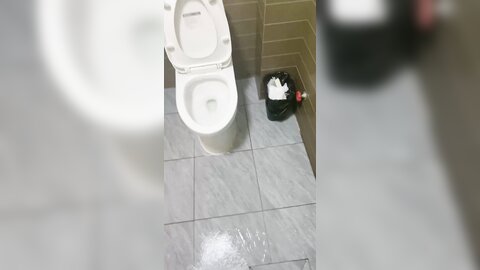 1615