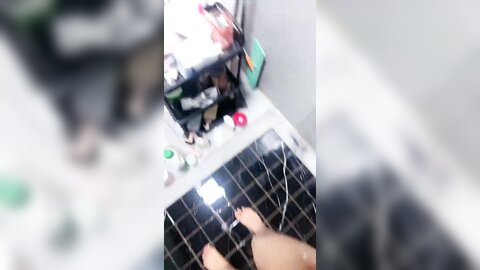 再舔也是狗 20240502 155417