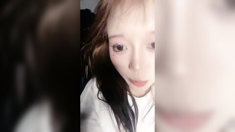 再舔也是狗 20240506 003434