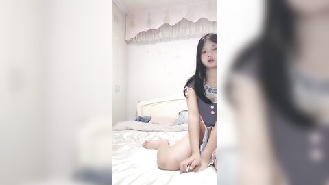 小熊精灵 4 9