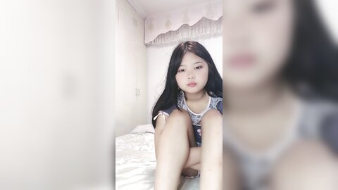 小熊精灵 4 9