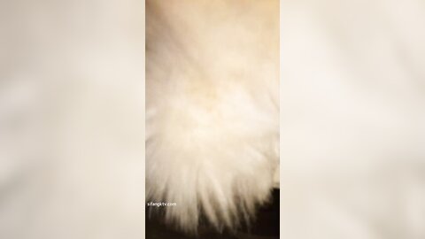 真实】山东某大学女生天天在一起生活