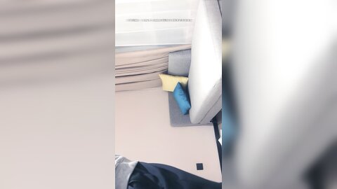 超清Ai画质增强】，3000一炮，太子探花】1