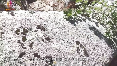 饼干姐姐 奇淫旅行性爱记录 色诱旅行搭子口交侍奉