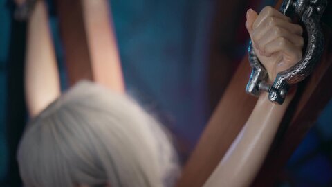 单售《希尔薇》cos [83P+2V-1.33GB]