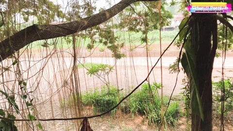 At Coffee Shop Thailand With Sexy Girl โชว์เสียวร้านกาแฟ