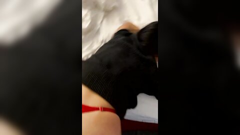 Asian mouth fucked Sabel