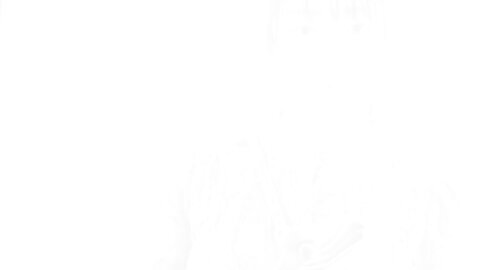 TSDS-42735