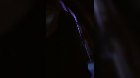 41908817小熏很粉 20240419