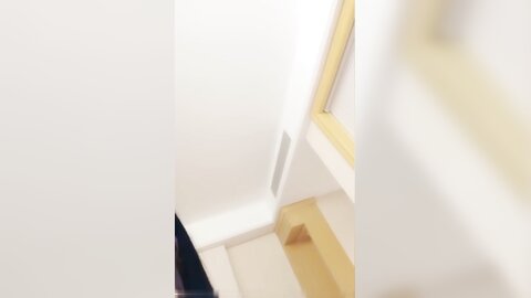 卡哇伊美少女，酒店约炮大战，一对坚挺美乳