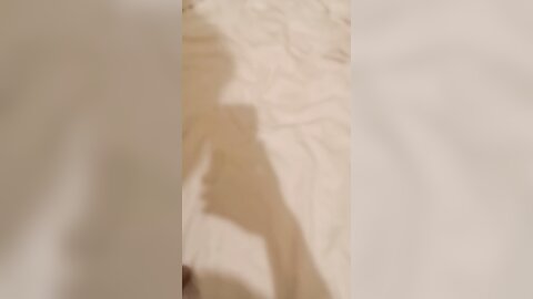 最近约的良家嫩妹妹，多毛小骚逼，一顿爆草