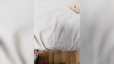 清纯眼镜美眉吃鸡舔菊花 自己掰开 叫爸爸 身材苗条