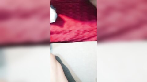 牛仔裤极品美臀，扒开内裤翘起求操，第一视角，大屌深插光滑美臀