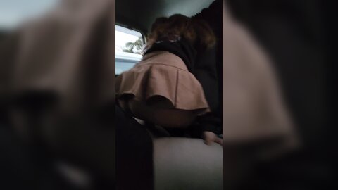 Quicky Cum In My Teen Pussy In The Car At The Park