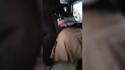 Quicky Cum In My Teen Pussy In The Car At The Park