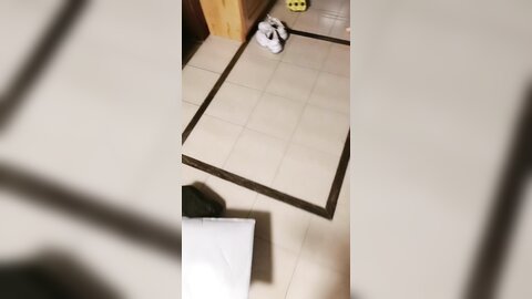 02年学舞蹈的妹妹，黑丝极品美腿，半脱网袜操多毛骚逼