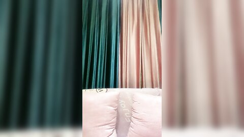 极品尤物小女友，居家操小骚逼，贫乳苗条大长腿，肉丝足交