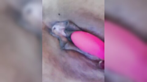万人求档极品人妻，推特超顶身材巨乳反差婊想想】