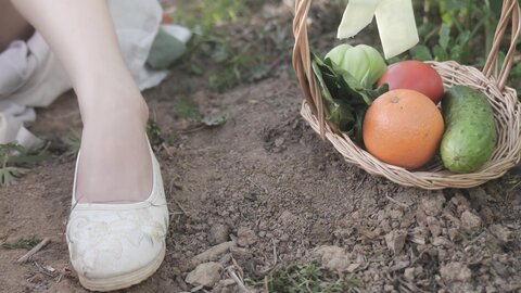 5月作品『田耕记』小剧场