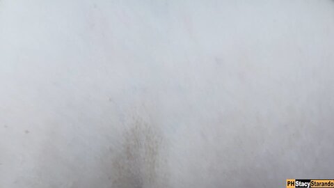 A Man Noticed How I Masturbated In The Forest And Fucked Me