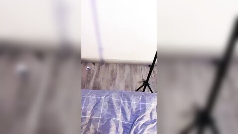 漂亮大奶美眉 你待会儿用点劲 啊啊好舒服爽用点力 吃鸡舔菊花要求哥们操逼卖点力身材苗条鲍鱼粉嫩在家无套