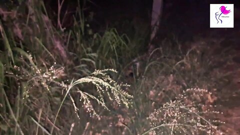 සල්ලි දීලා සැපක් ගත්තා Asian Girl Amazing Fuck Sri Lanka Hot Sex B