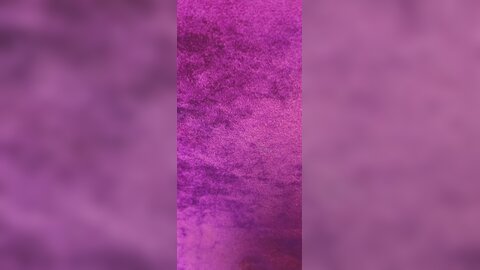 Videos (17)