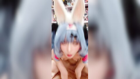 Videos (3)