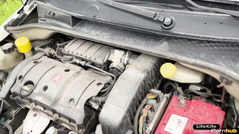 Lifekife  Sex In The Car In Gratitude For Its Repair