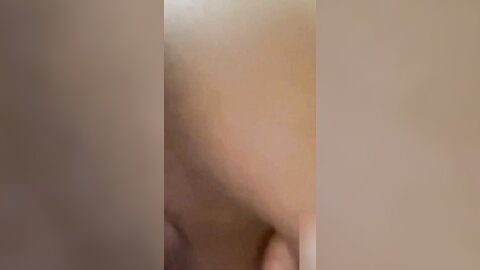 21062024 0469