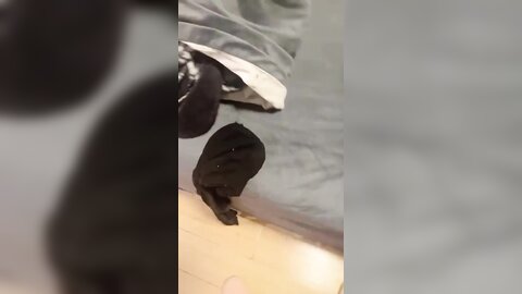 双飞高颜闺蜜 两只小母狗好好伺候老子 快去洗洗抠出来