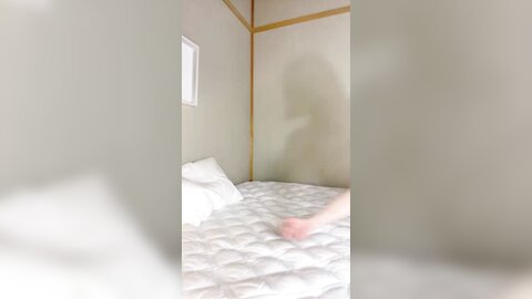 日本女优平台直播，淫荡小骚货，男优大屌舔弄